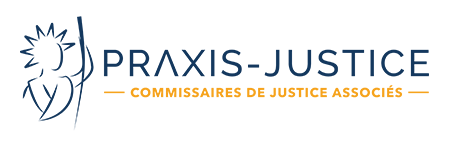 Retour  l'accueil de Praxis Justice